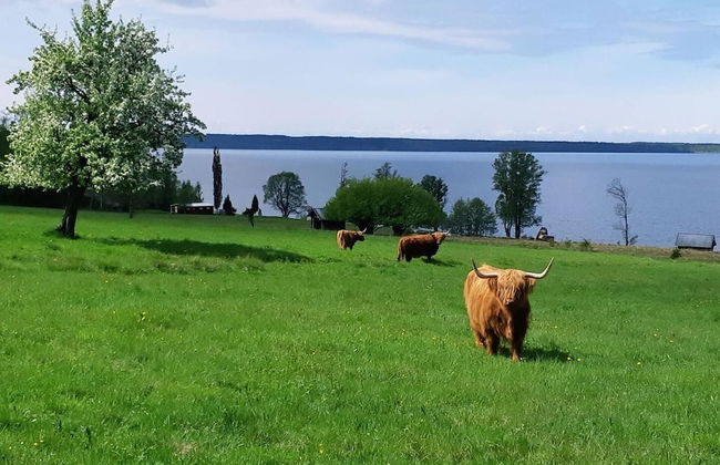 Stunning Sleeps 9 Lakeview Loghome, Spa & Yoga - Foto 32