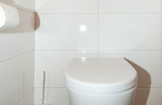 Infanglalm "traunsee" - Foto 16