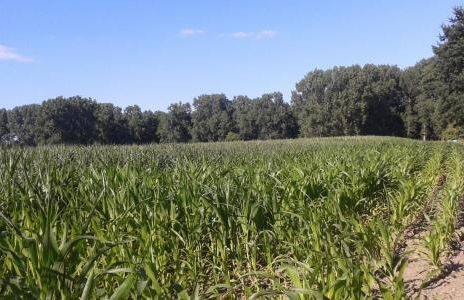 Ferienwohnung Kerstenhof - Foto 40