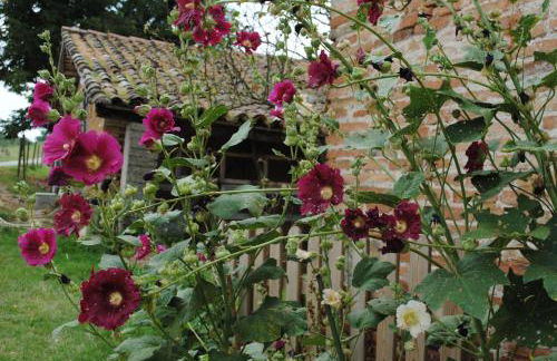 la Roulotte du Cos - Foto 11