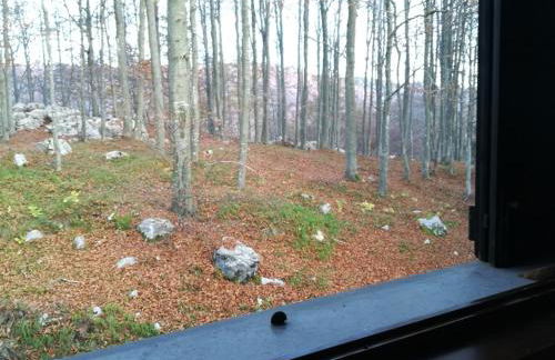 Appartamento Piancavallo - Foto 36