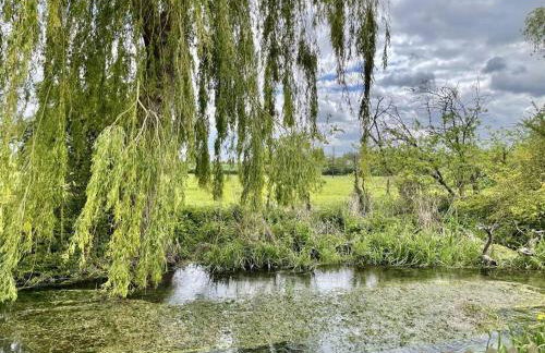 Willow Tree Lodge - Cosy lodge in the heart of the Kent countryside - Foto 22