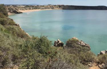 Paraiso vale da ribeira - Foto 39