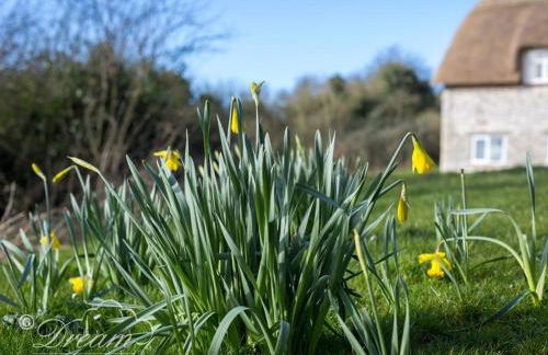 Pitt Cottage - Photo 20