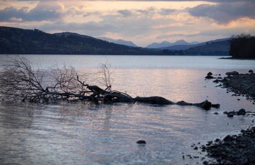 MacKintosh - Foto 20