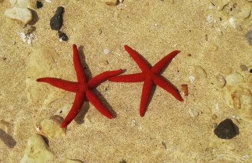 Appartamento Joanna - Foto 46