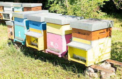 Agriturismo da Natalino - Foto 66