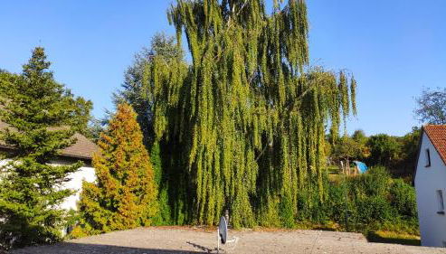 Monteur Unterkunft Gästewohnung Ferienwohnung - Haus Huth - Foto 4