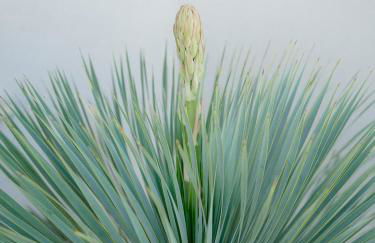 La Perle Rose Villa Standing 5 étoiles avec piscine jacuzzi et superbe vue - Foto 46