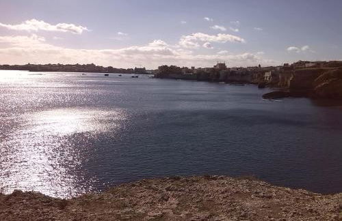 Caledonia Relax - Photo 40