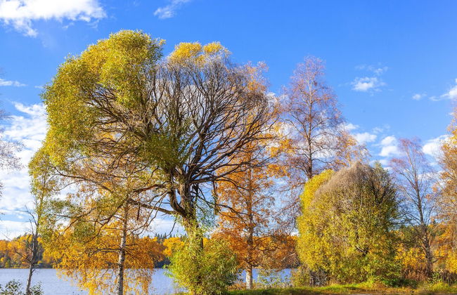 Aulanko Lake Villa - Peace & Privacy - Foto 32