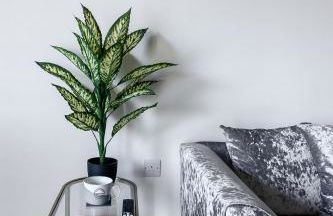 Modern & Cosy Flat in Kingston - Foto 34