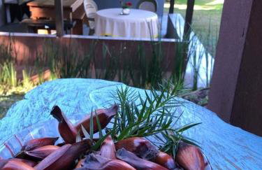 Chalé com Vista para Vinhedo e Natureza - Foto 10