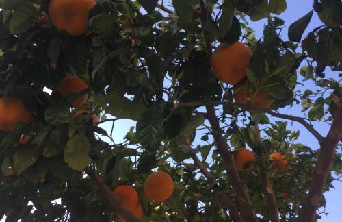 Los Nietos Apartment - Foto 45