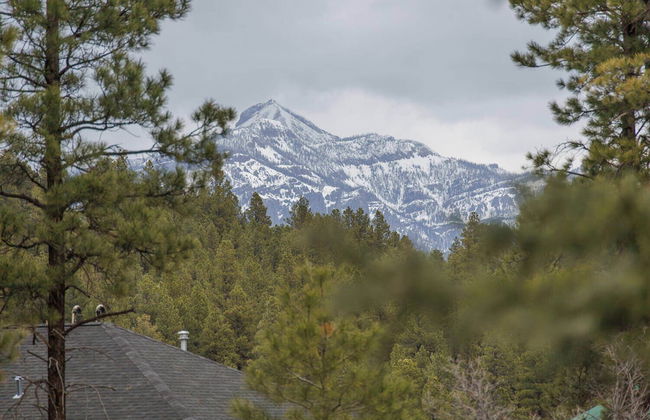 The Snow House - Foto 39