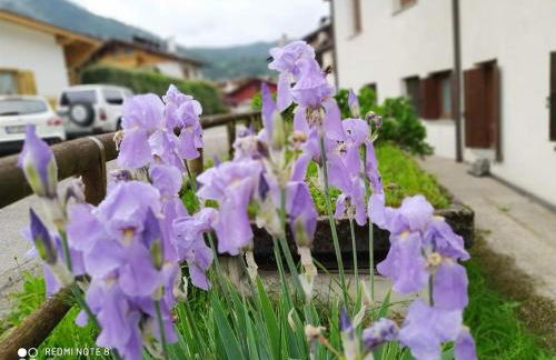 La casa dello scoiattolo primierotto - Foto 29