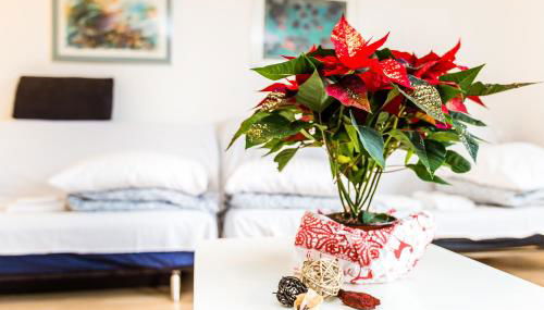 Apartment Köln Neubrück - Foto 3