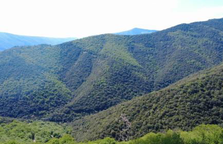 Le Châtaignier - Foto 15