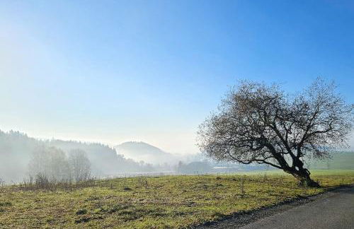 WALD WIESE cottage - Foto 26