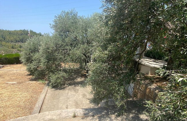 "villa She Ruz " - Photo 39