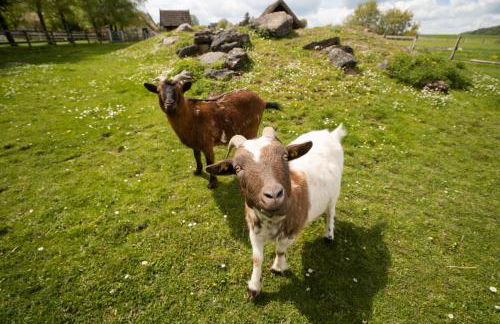 Ferienhof Homann Sauerland - Foto 60