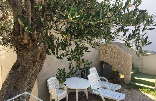 Apartments Suzana - Foto 11