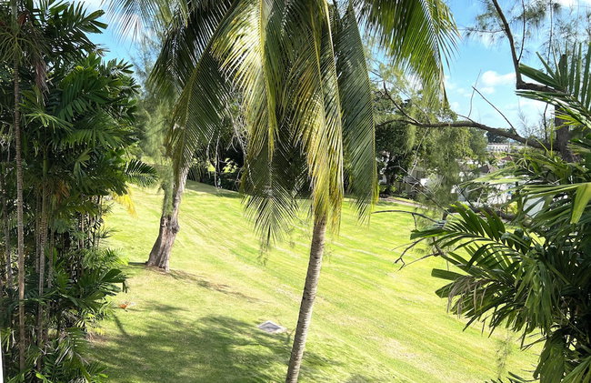 Rockley Orange Hill - by Zenbreak - Foto 27