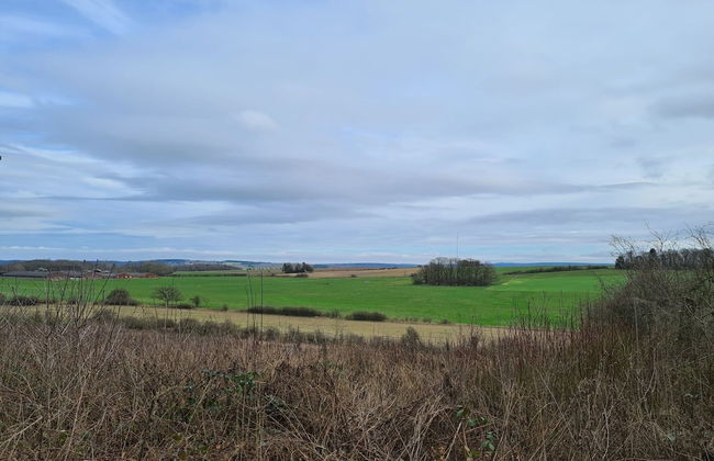 Cozy Family Home in Humain - Photo 26