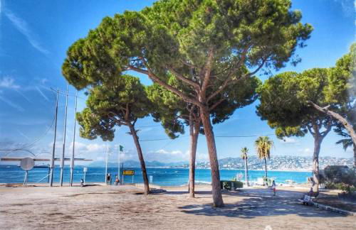 SPLENDIDE 3 PIECES VUE MER - Foto 39