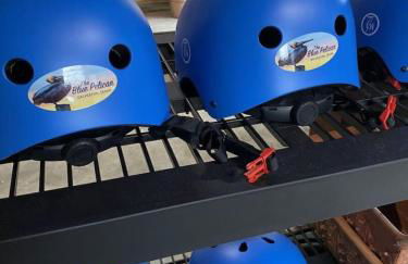 The Blue Pelican - Foto 16