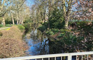 Britannia Lodge - Photo 58