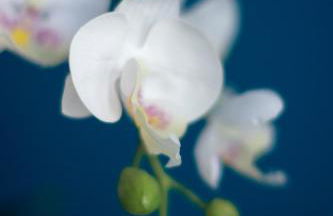 Friendly Home - Einzelappartement "Trust" Köln Bonn Phantasialand - Foto 8