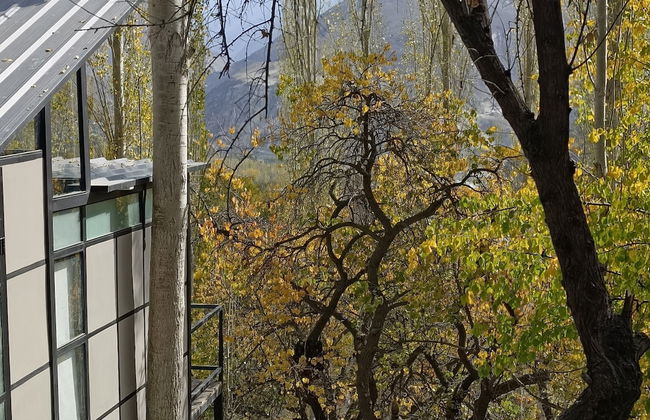 Sevinc With Forest View - Cloud Nine and a Half - Photo 15