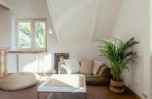 Tuyo Casa Sarabandy - Foto 40