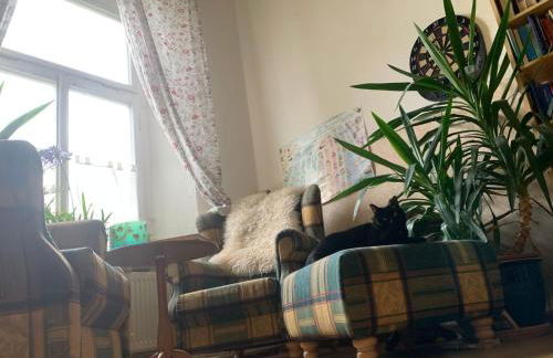 Gutshaus Zarnewanz - Foto 19