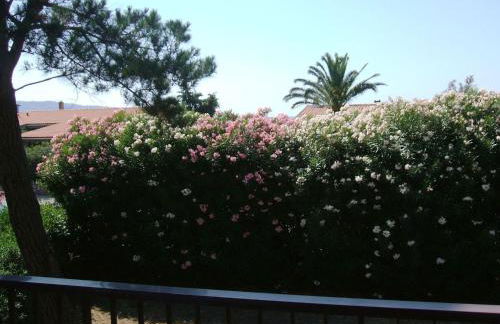 Villa Argentario - Villa Argentario - Foto 13