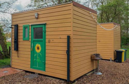 Kuhle Auszeit - Fass Sonnenblume - Foto 9