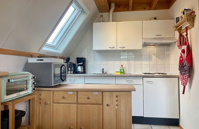 Holiday Home de Druif 6p With a Nice Terrace Near Lake Lauwersmeer - Foto 7