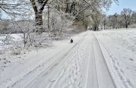 Ferienwohnung Sleep and Stay im Grünen - Foto 40