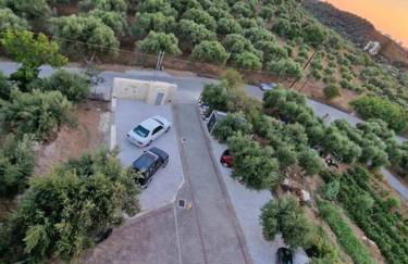 Olive Grove Apartment - Photo 35