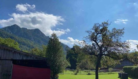 Ferienwohnung Heuberg - Foto 5