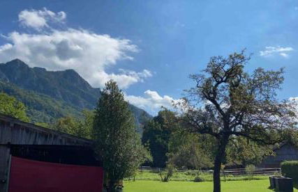 Ferienwohnung Heuberg - Foto 5