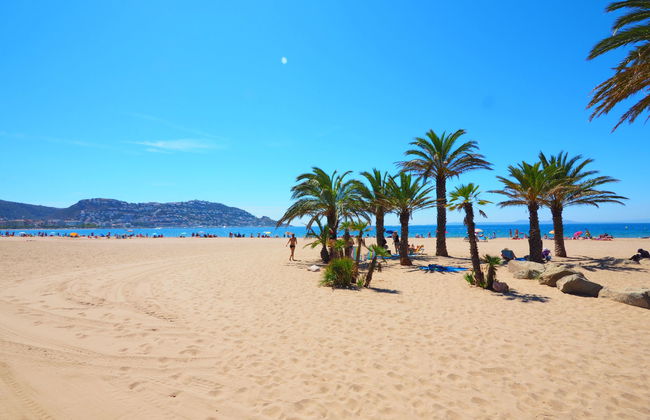 El colibri II - Foto 15