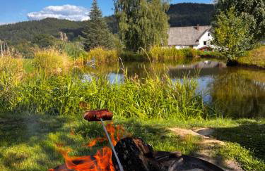 Gołąbek Stronie Śląskie - Foto 14