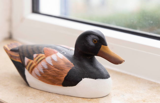 Blaumuschel (LUB113) - Foto 14