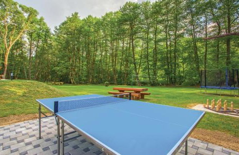 Awesome Home In Brestovac With Sauna - Foto 17