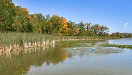 Long Lake Cabin with Fire Pit and more! Pet-Friendly - Foto 4