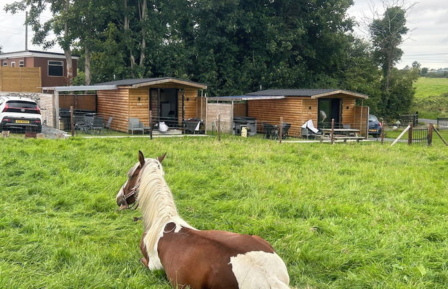 Bambi's Hideaway - Foto 10