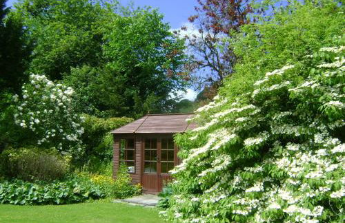 The Forest Country House B&B - Foto 32