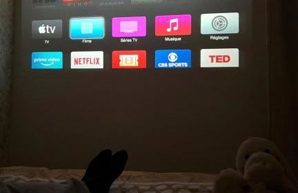 Charmant & Cosy T2 Toulousain - Foto 6